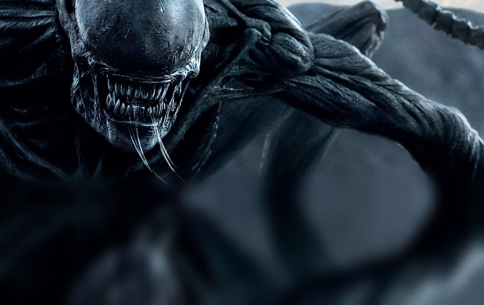 Alien: nel nuovo film Ridley Scott vuole di nuovo gli Xenomorfi