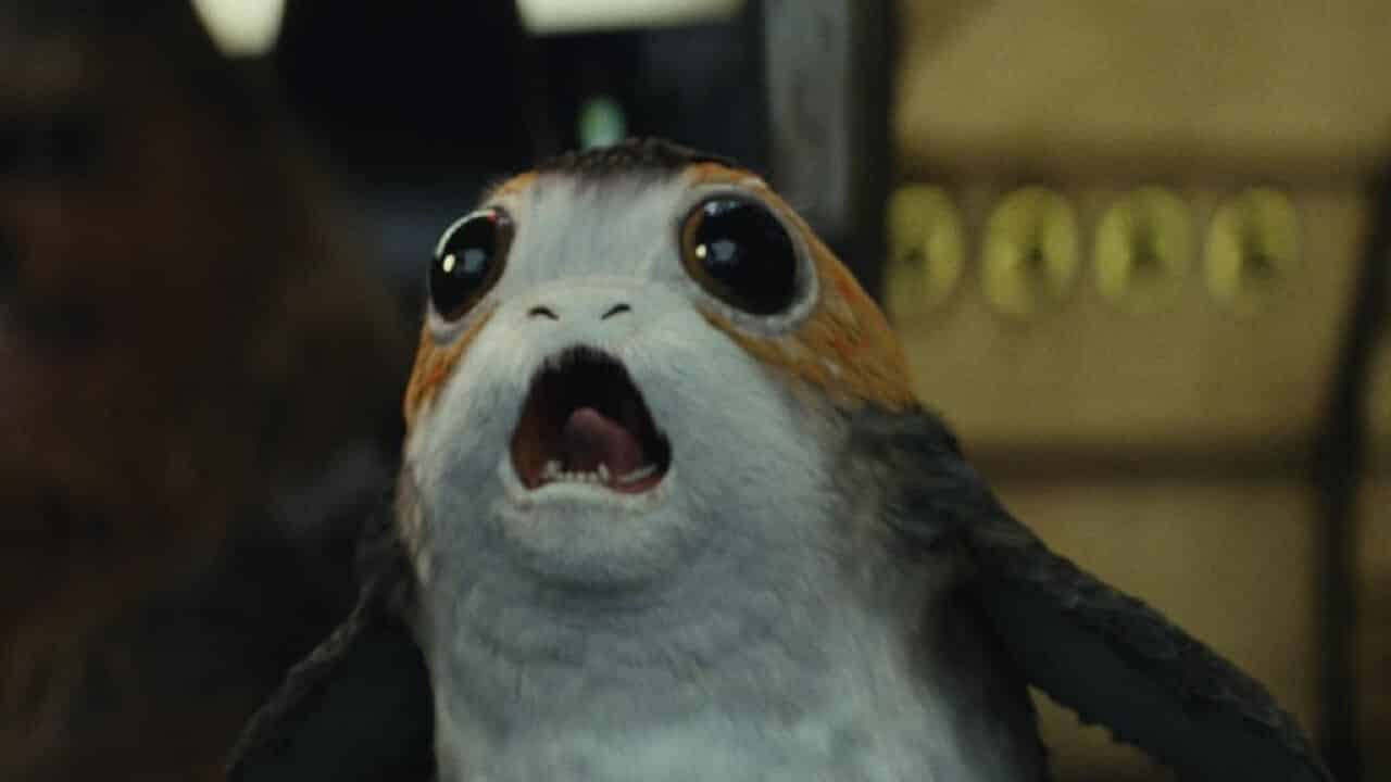 Daisy Ridley (Star Wars: Gli ultimi Jedi) imita i Porg in un video!