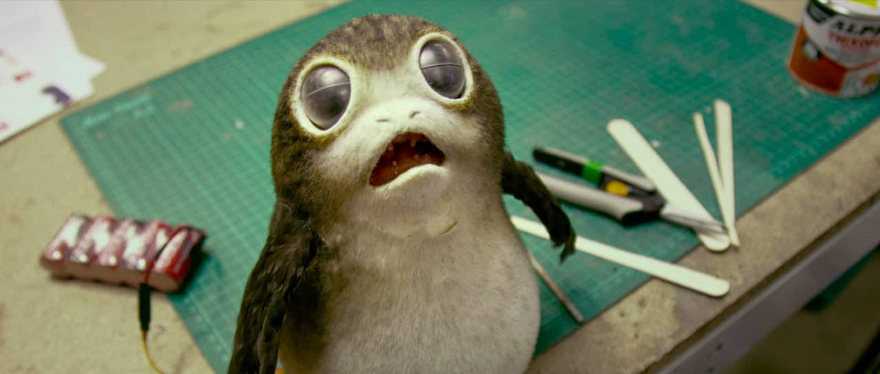 Star Wars: Gli Ultimi Jedi – confermata l’apparizione dei baby Porgs