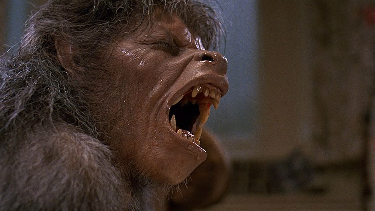 Un lupo mannaro americano a Londra: John Landis aveva in mente un sequel