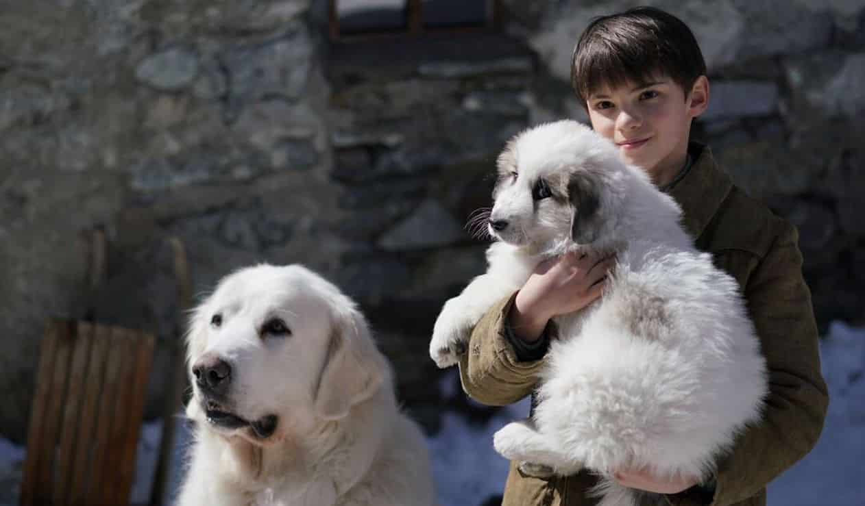 Belle & Sebastien – Amici per sempre: dal 22 febbraio 2018 al cinema il nuovo film