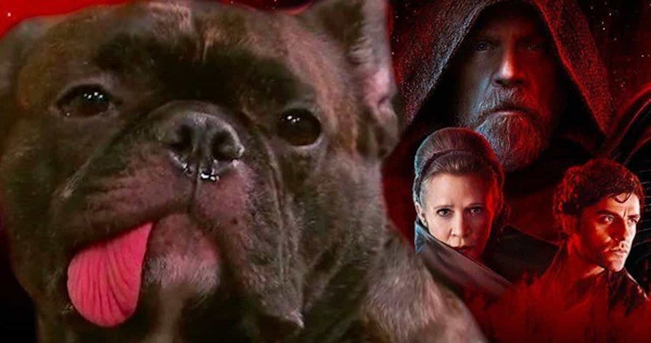 Star Wars: Gli ultimi Jedi – il cane di Carrie Fisher trasformato in alieno