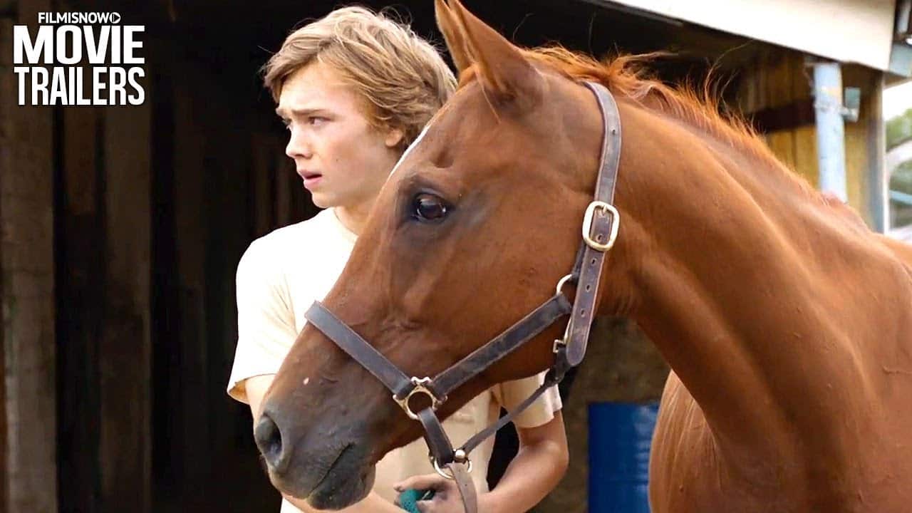 Lean on Pete: trailer del film di Andrew Haigh presentato a Venezia 74