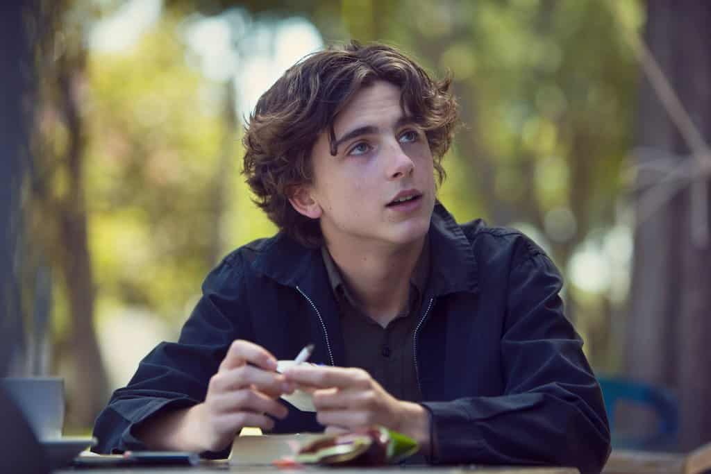 Timothèe Chalamet cinematographe