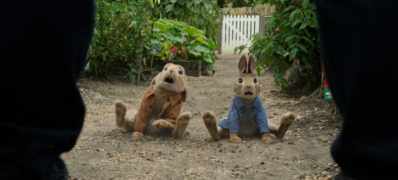 peter rabbit cinematographe
