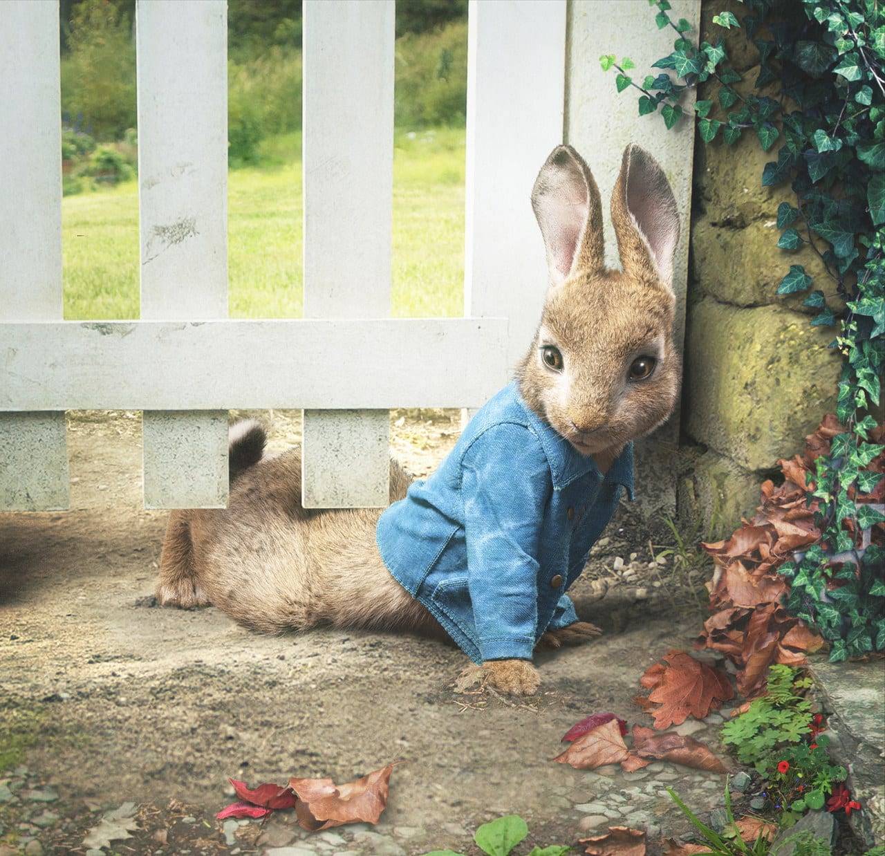 peter rabbit cinematographe