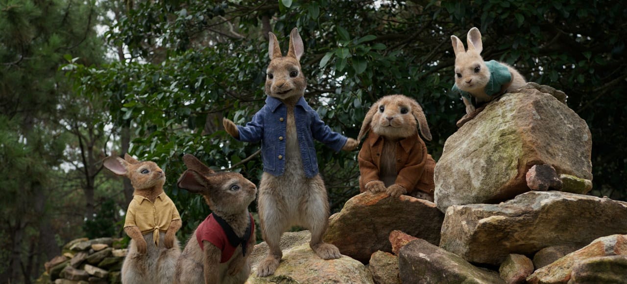 peter rabbit cinematographe