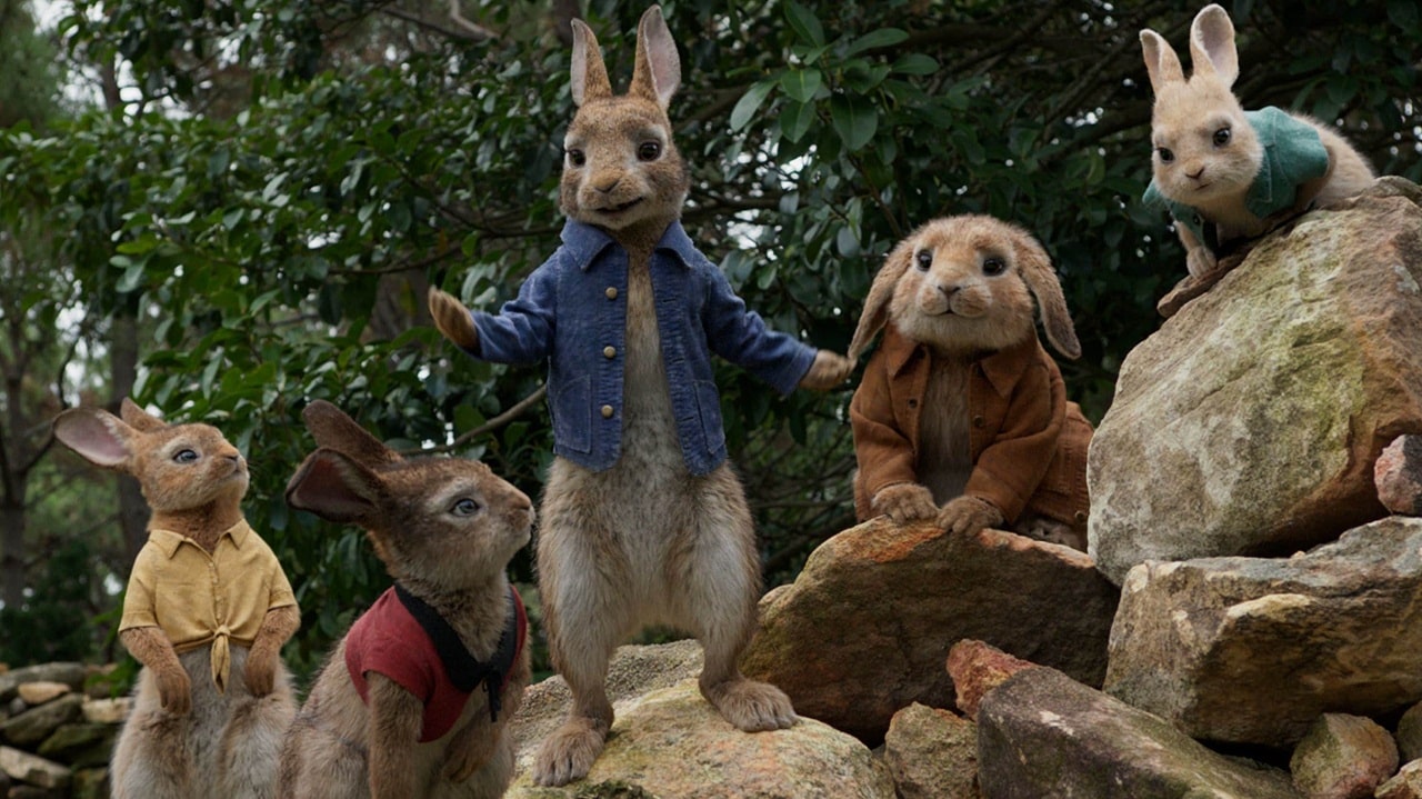 peter rabbit cinematographe