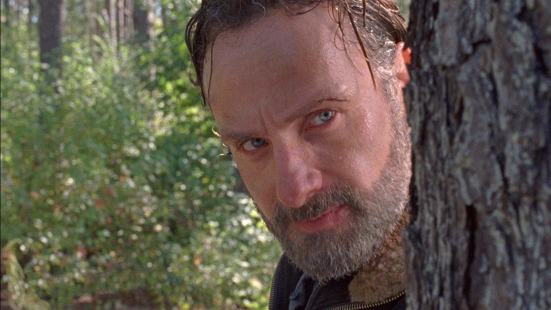 The Walking Dead – stagione 9: cosa accadrà nel futuro della serie?