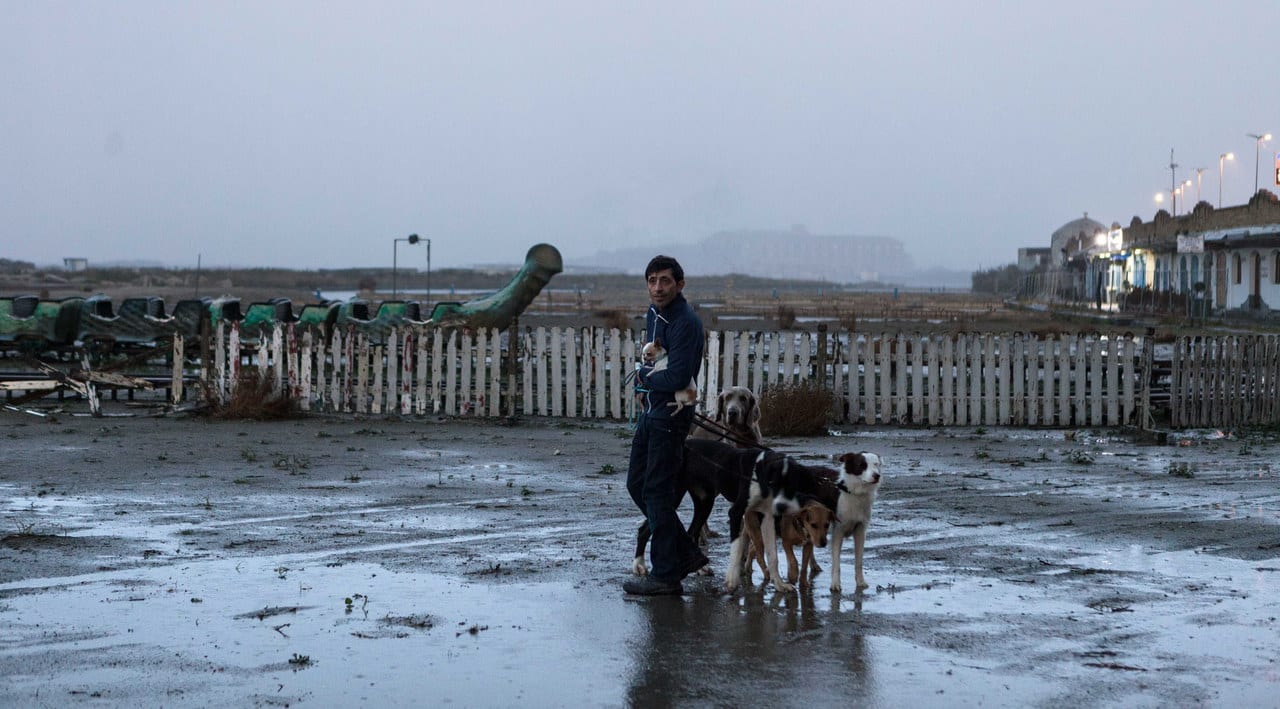 dogman matteo garrone cinematographe