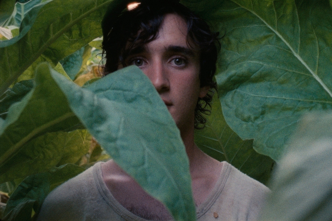 Lazzaro Felice Cinematographe.it