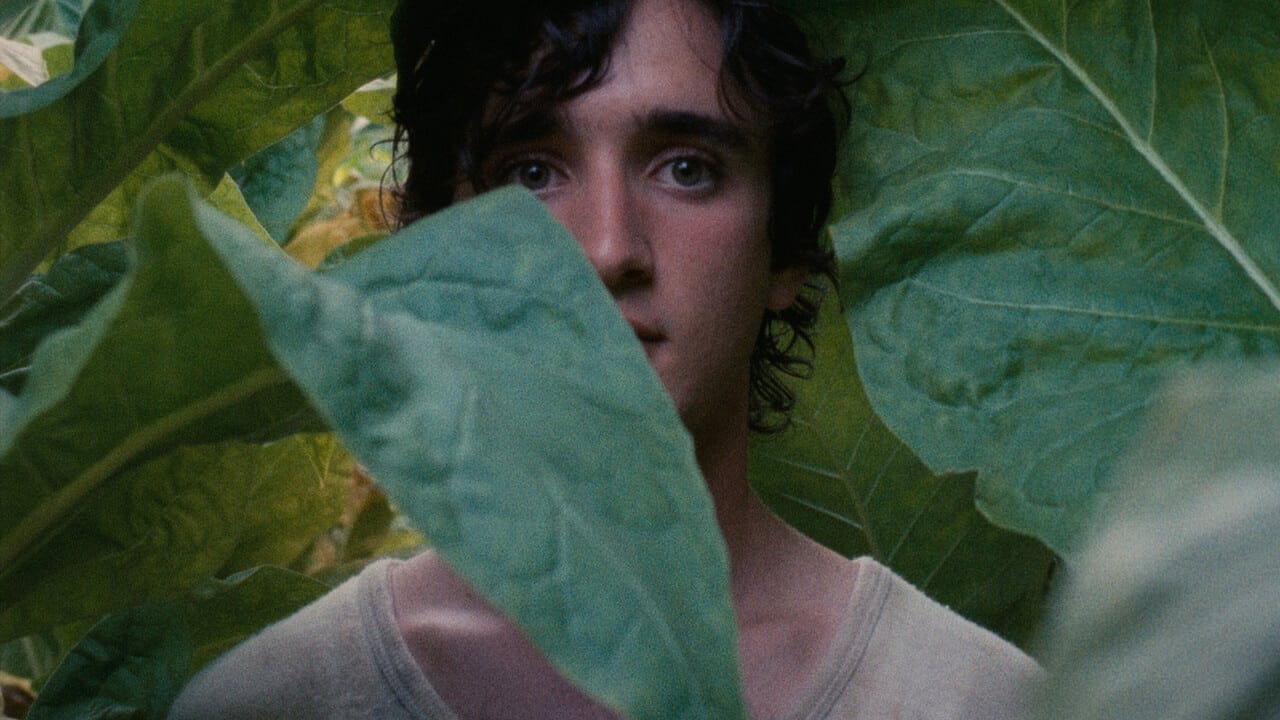 Lazzaro Felice: il film premiato a Cannes 2018 negli USA con Netflix