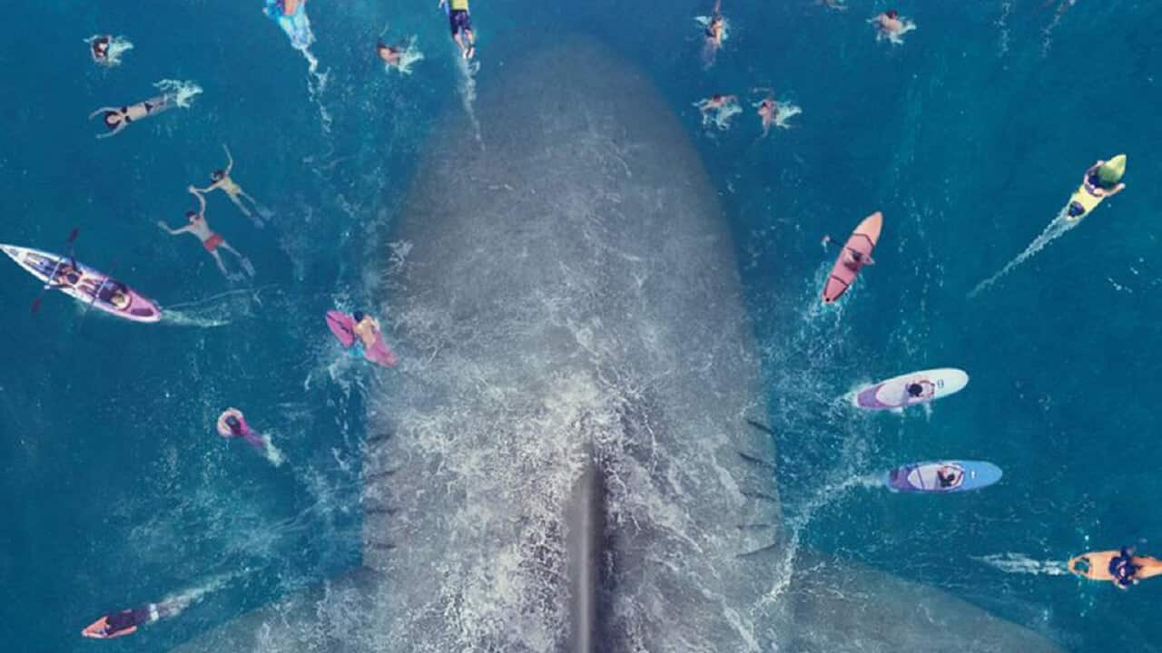 shark - il primo squalo cinematographe.it