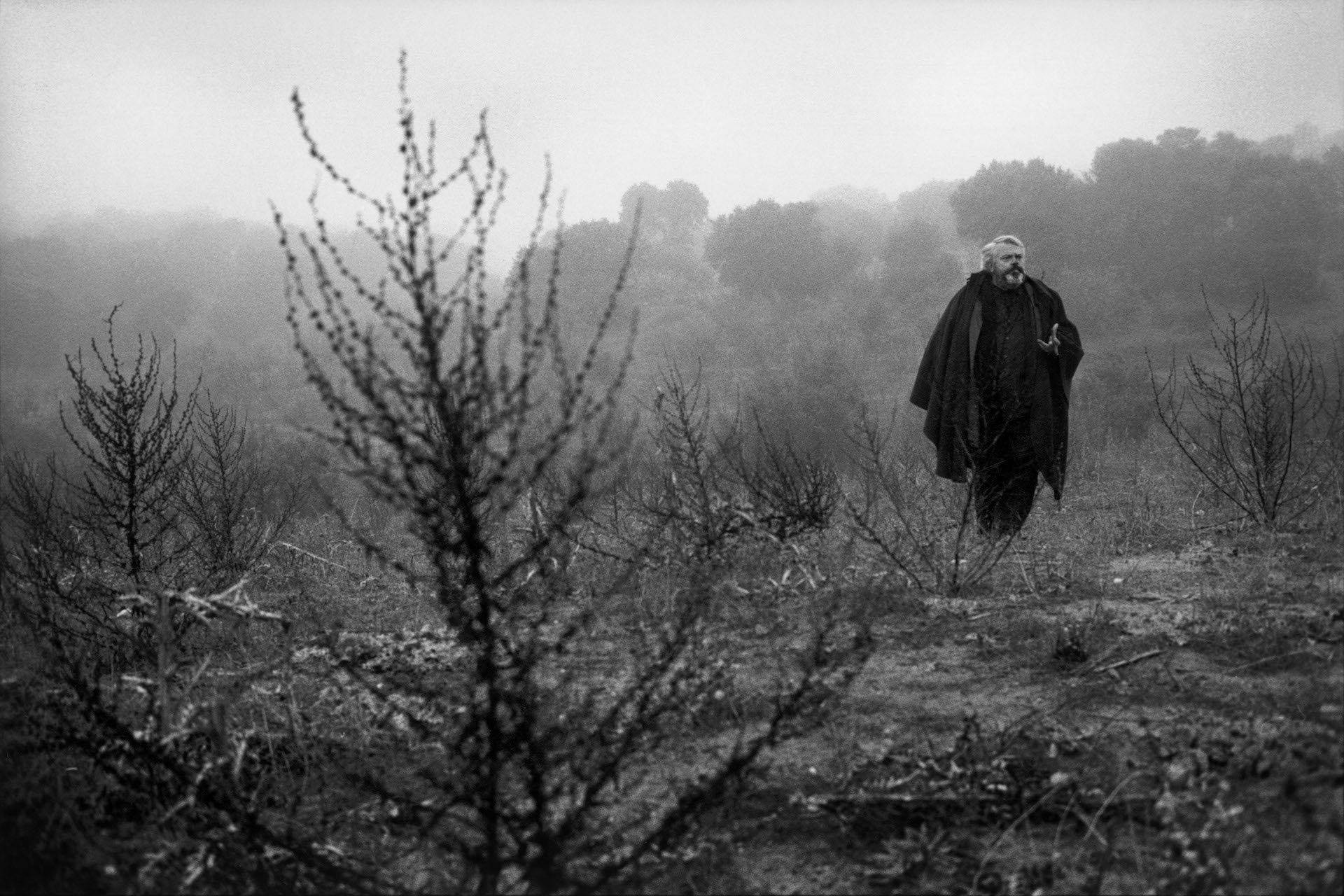 Lo sguardo di Orson Welles Cinematographe.it