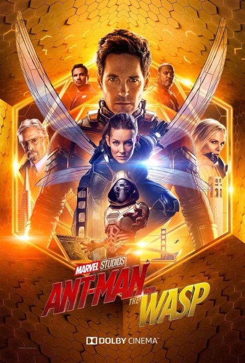 ant-man and the wasp: cinematographe.it