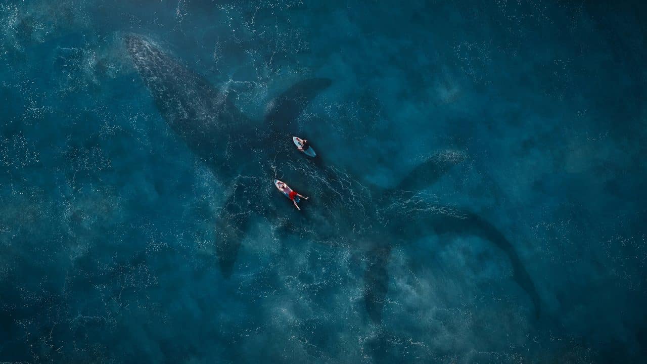 Jurassic World: Il Regno distrutto Cinematographe.it