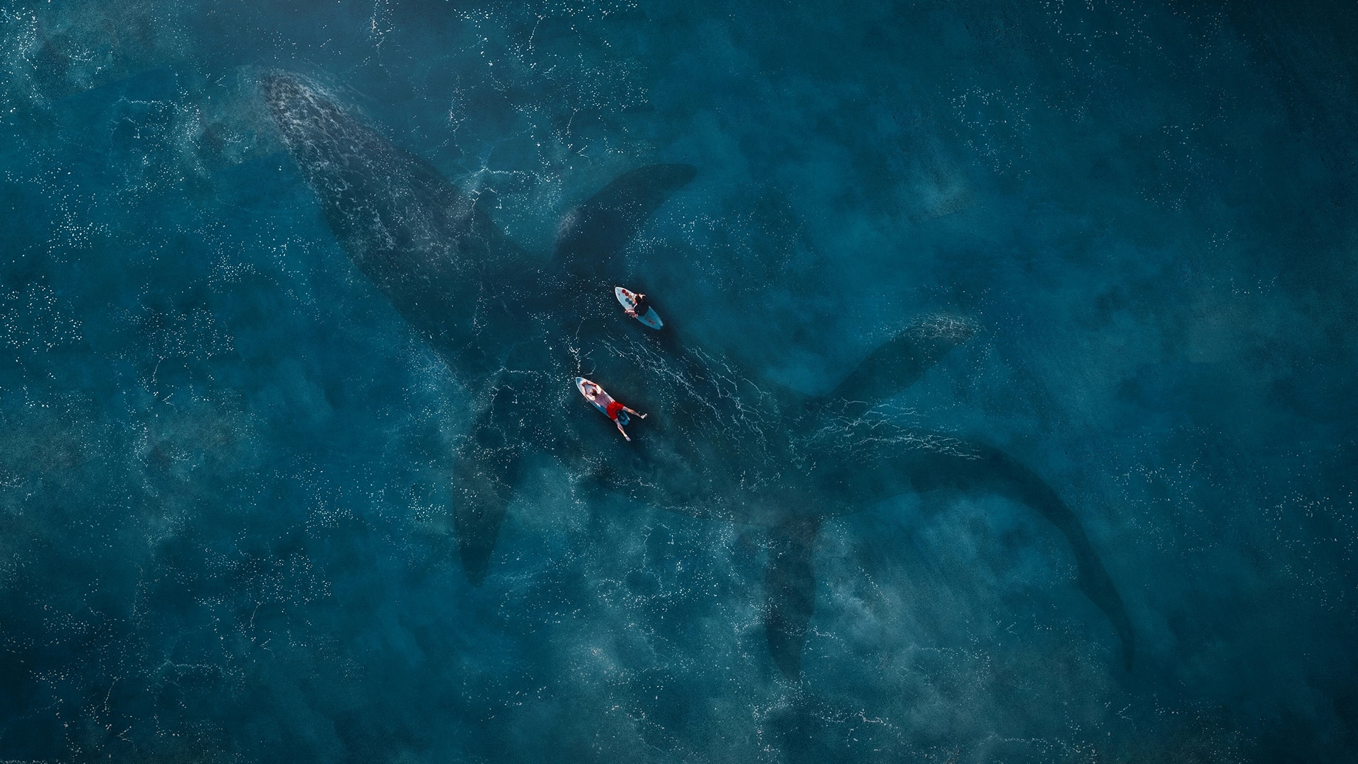 Jurassic World: Il Regno Distrutto - Colin Trevorrow scontento degli