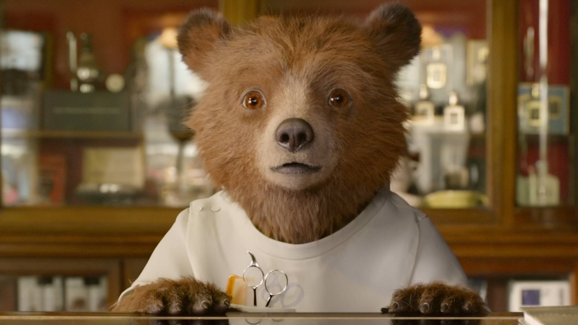 Paddington: il presidente dell’Ucraina Zelensky ha doppiato il dolcissimo orso dei film