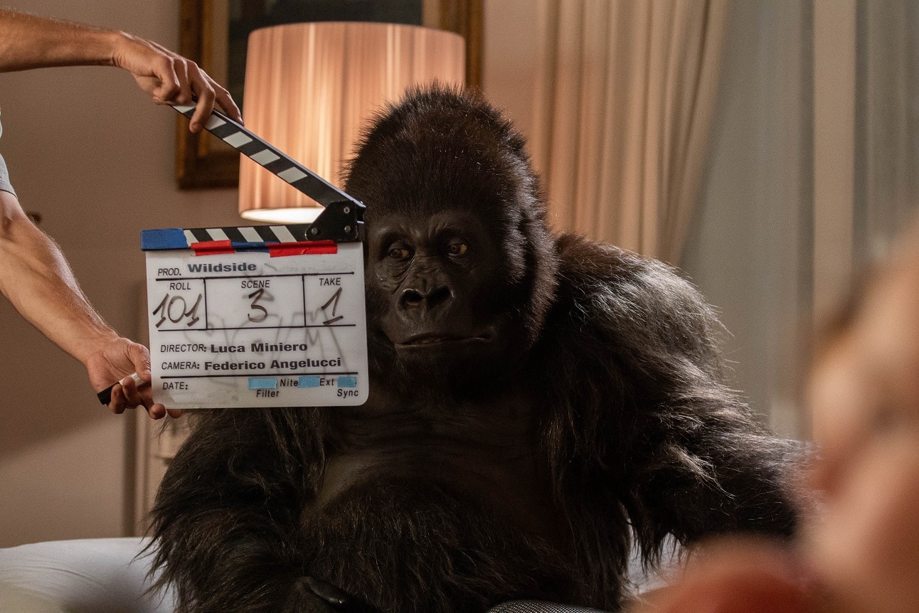 Attenti al gorilla Cinematographe.it