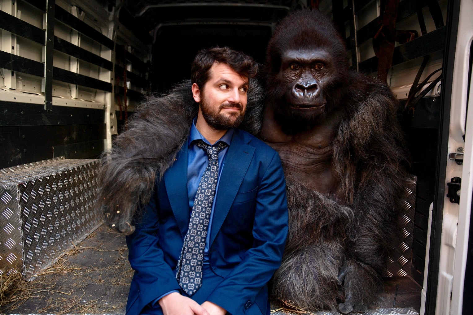 Attenti al gorilla Cinematographe.it