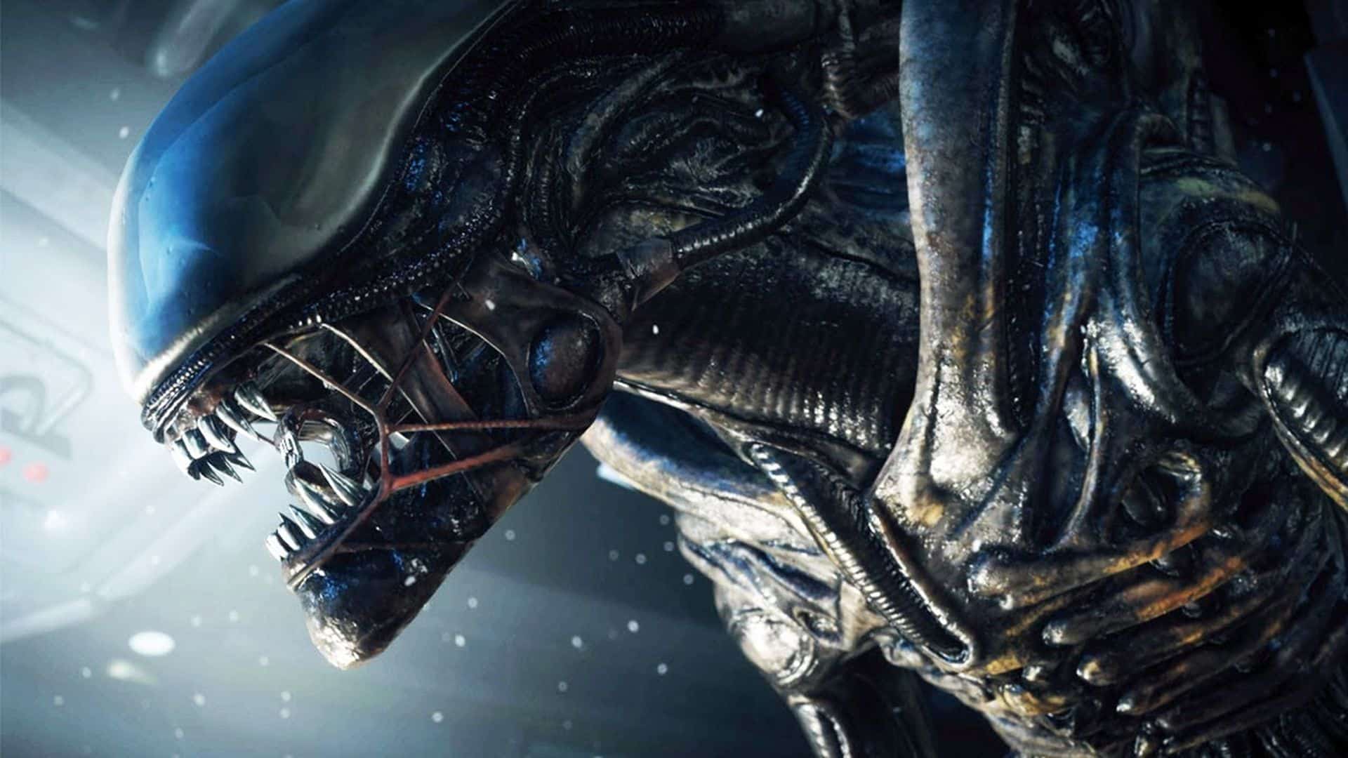 Alien: un documentario mostrerà contenuti inediti del film di Ridley Scott