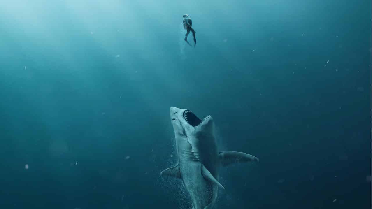 Shark - Il Primo Squalo, Cinematographe.it