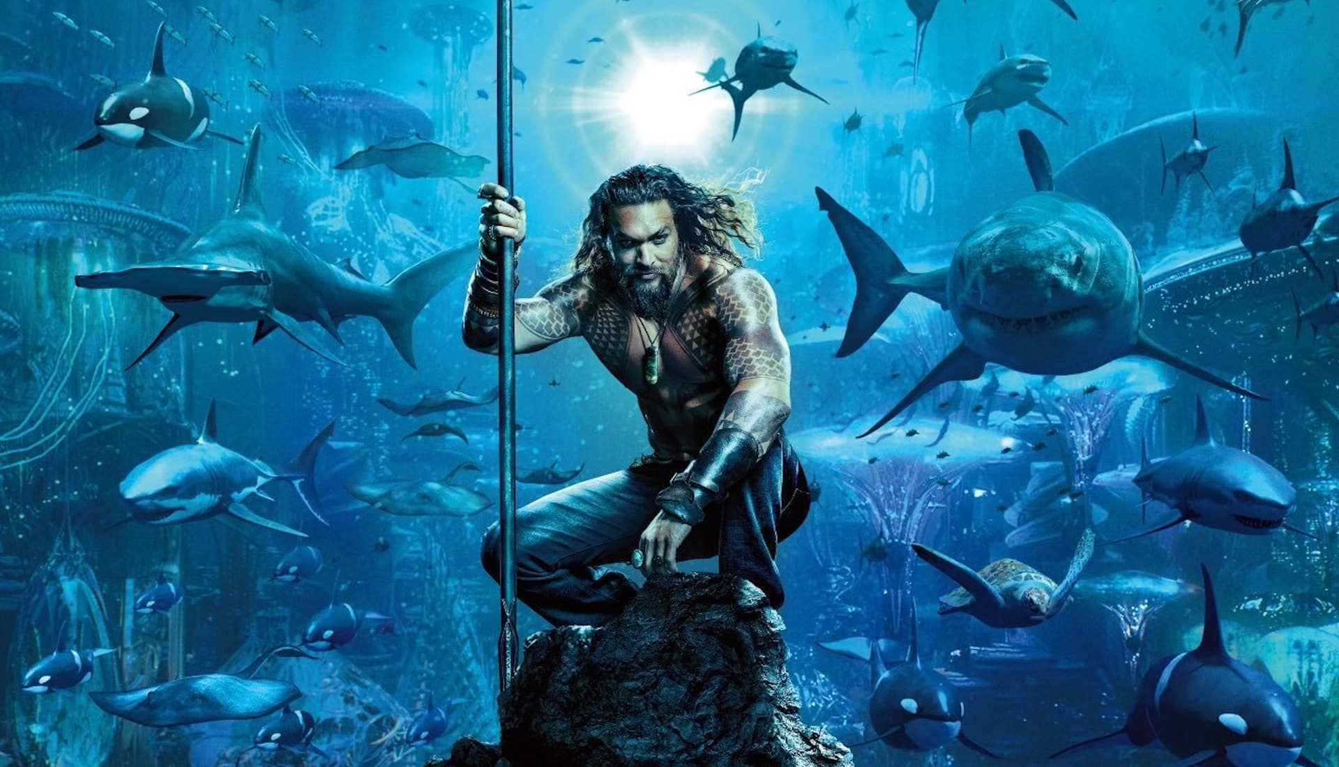 Aquaman: I fan scoprono immagine di uno squalo presa dal web