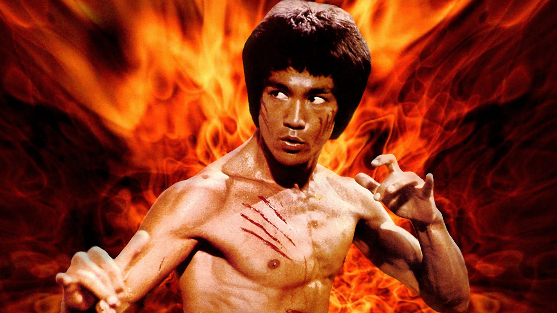 House of Lee, diffuso il teaser trailer dell’anime dedicato a Bruce Lee