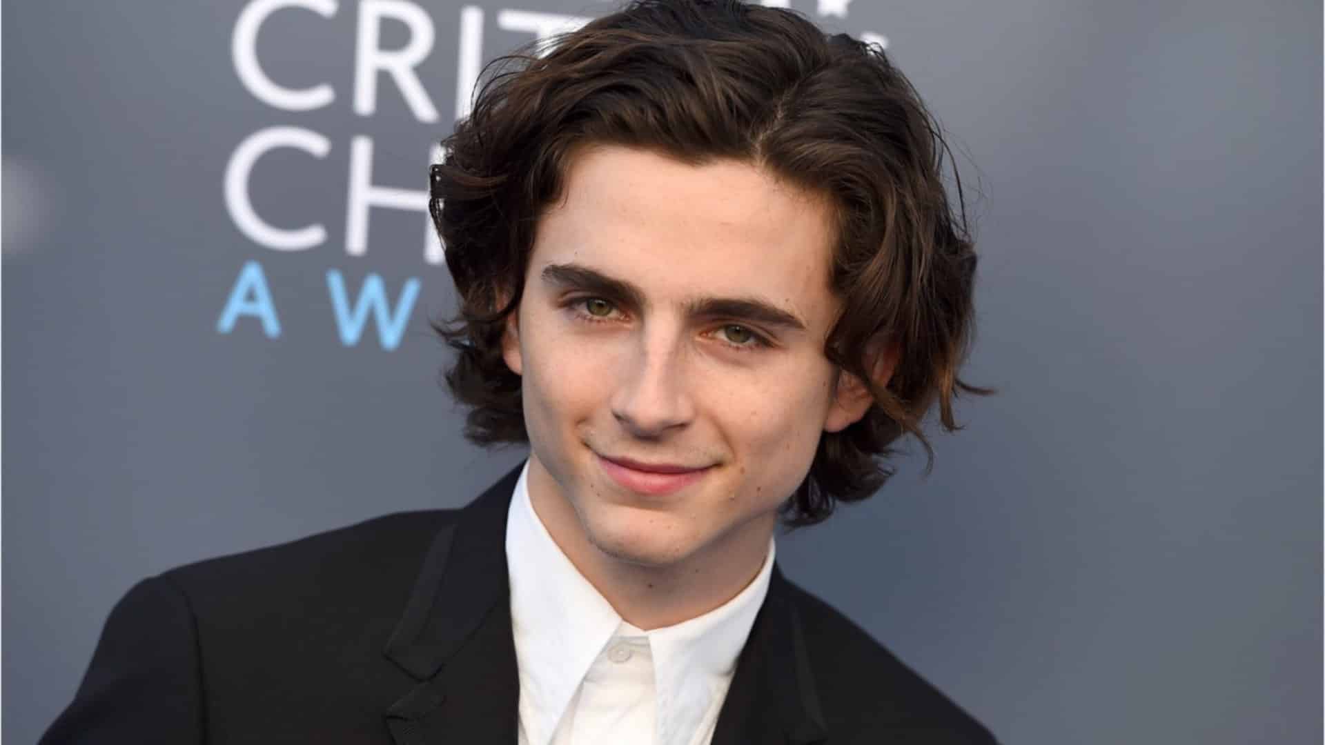 Timothée Chalamet photoshoppato nei quadri più famosi della storia