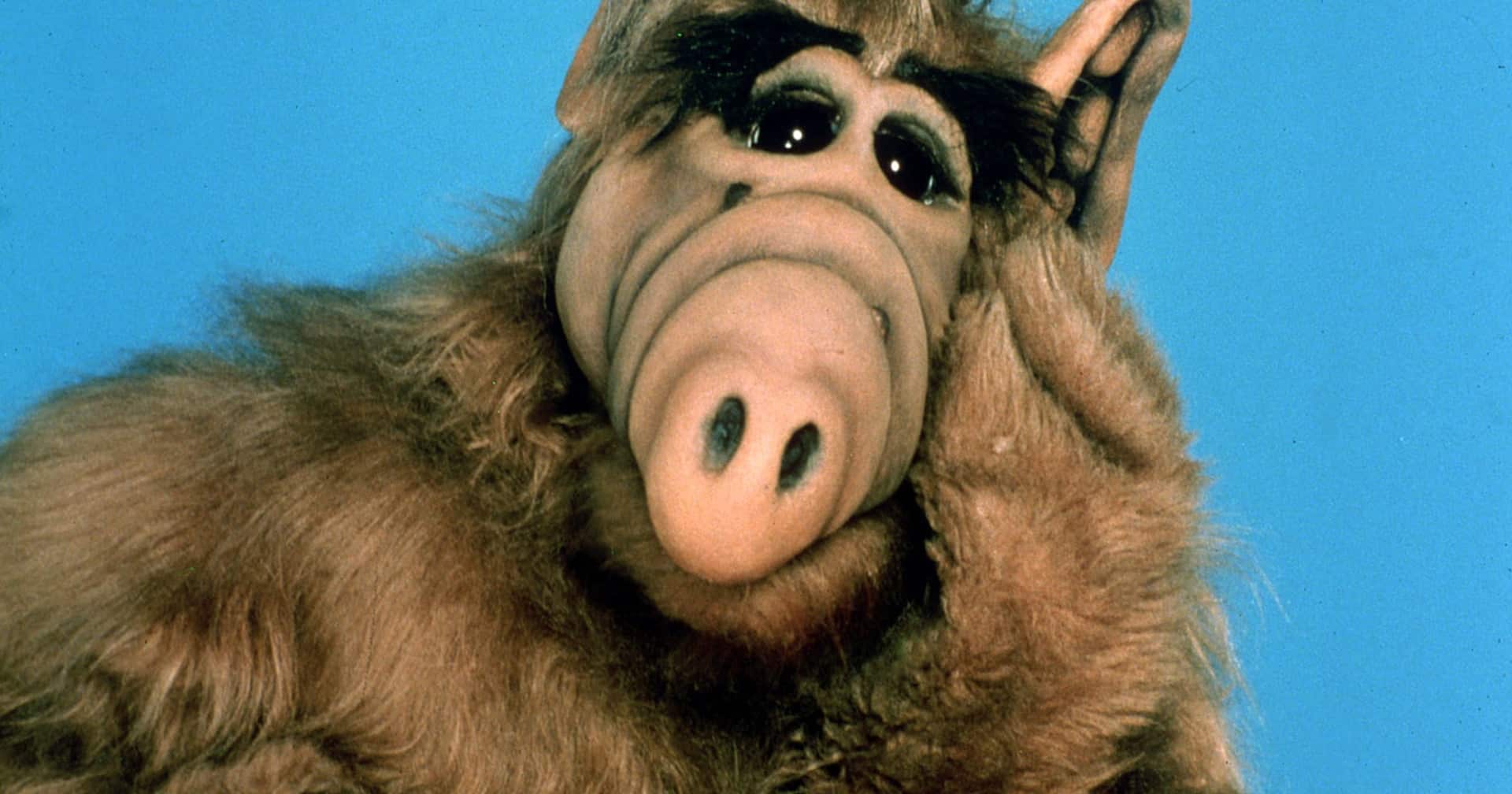 ALF: il reboot della sitcom degli anni ’80 in sviluppo alla Warner Bros.