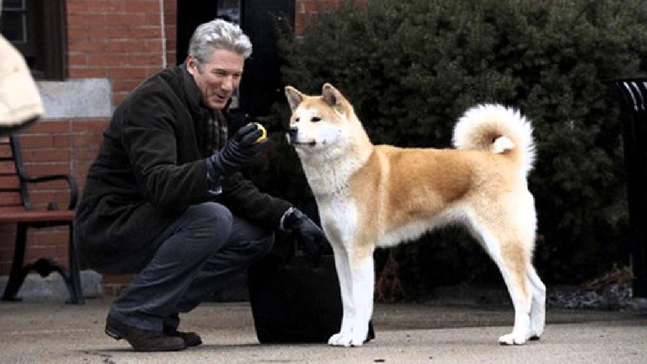 Richard Gere Cinematographe.it