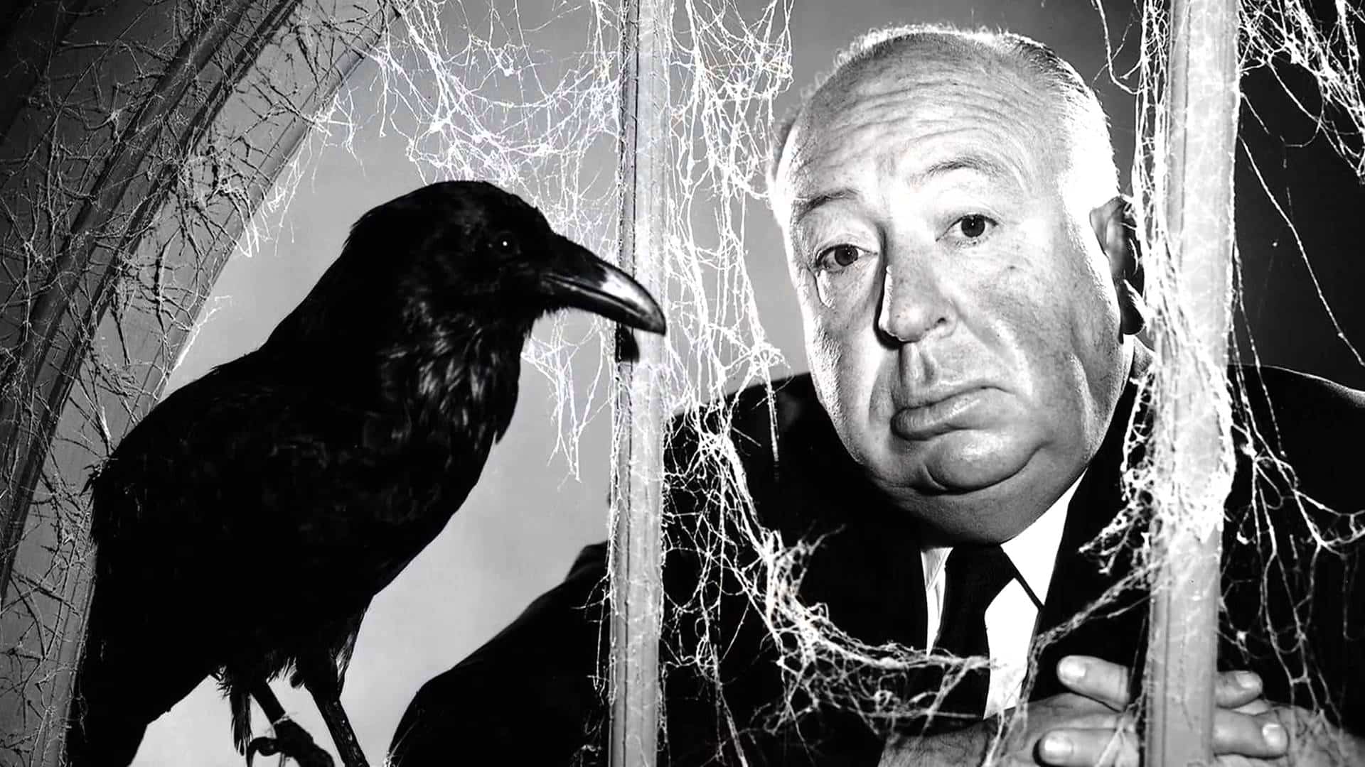 Alfred Hitchcock: le 10 parole chiave del Maestro del brivido