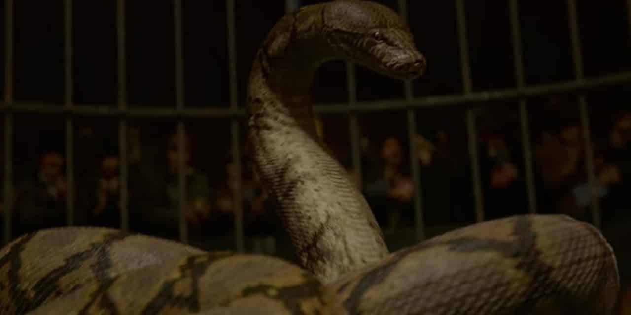 Animali Fantastici 2: – J.K. Rowling difende il casting di Nagini