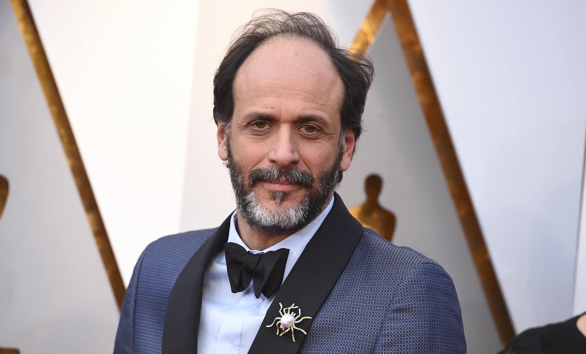 Luca Guadagnino: “non posso sapere se un attore è etero o gay”