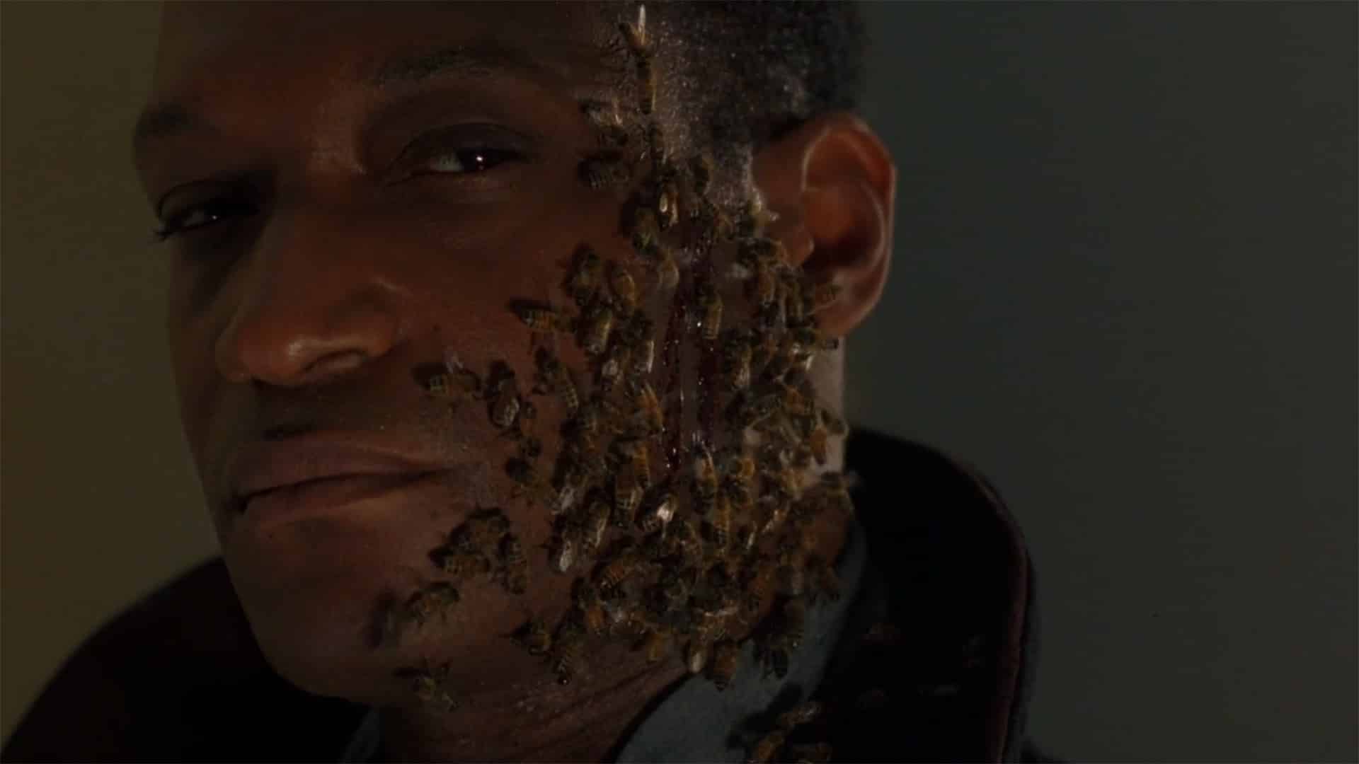 candyman cinematographe.it