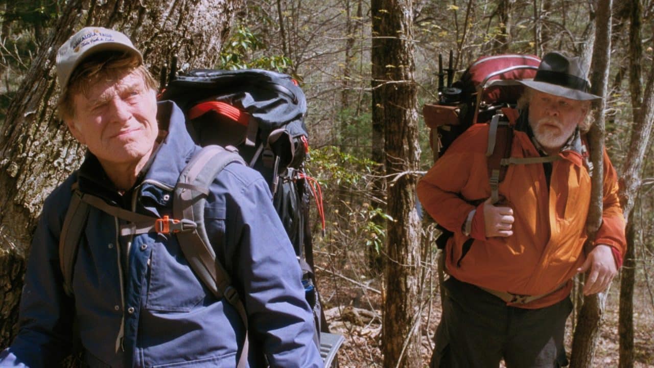 A spasso nel bosco cinematographe.it