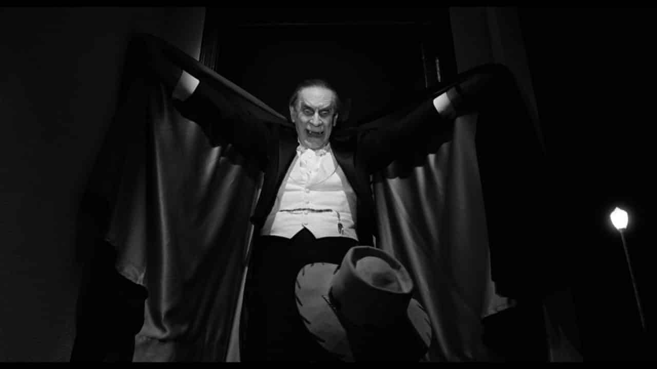 Ed wood cinematographe.it