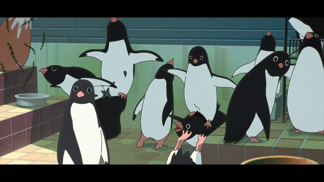 Penguin Highway: recensione del film 