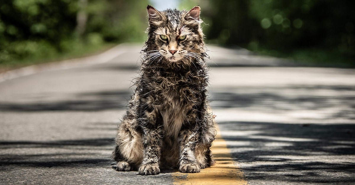 Pet Sematary ha una scena post credits?