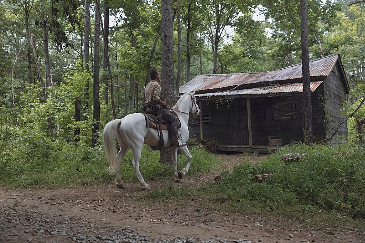 the walking dead cinematographe.it