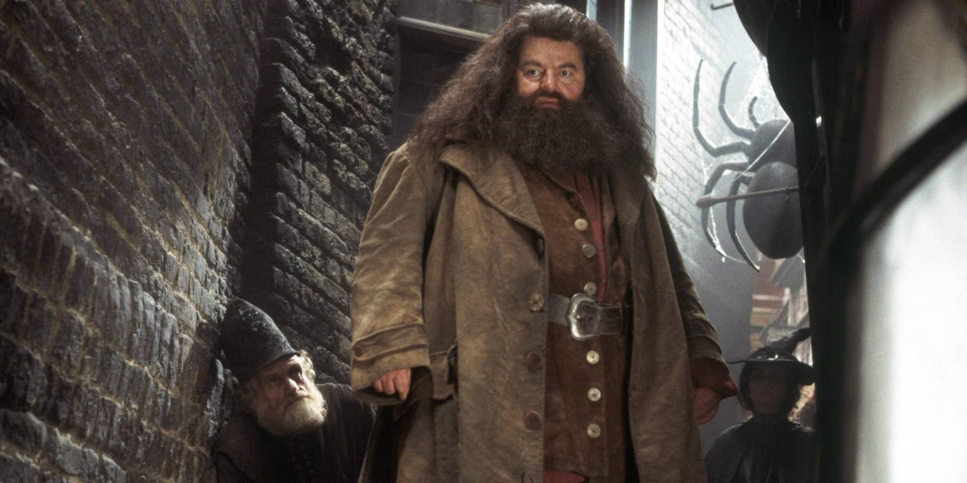 Animali Fantastici: Eddie Redmayne spera che Hagrid sia in un sequel