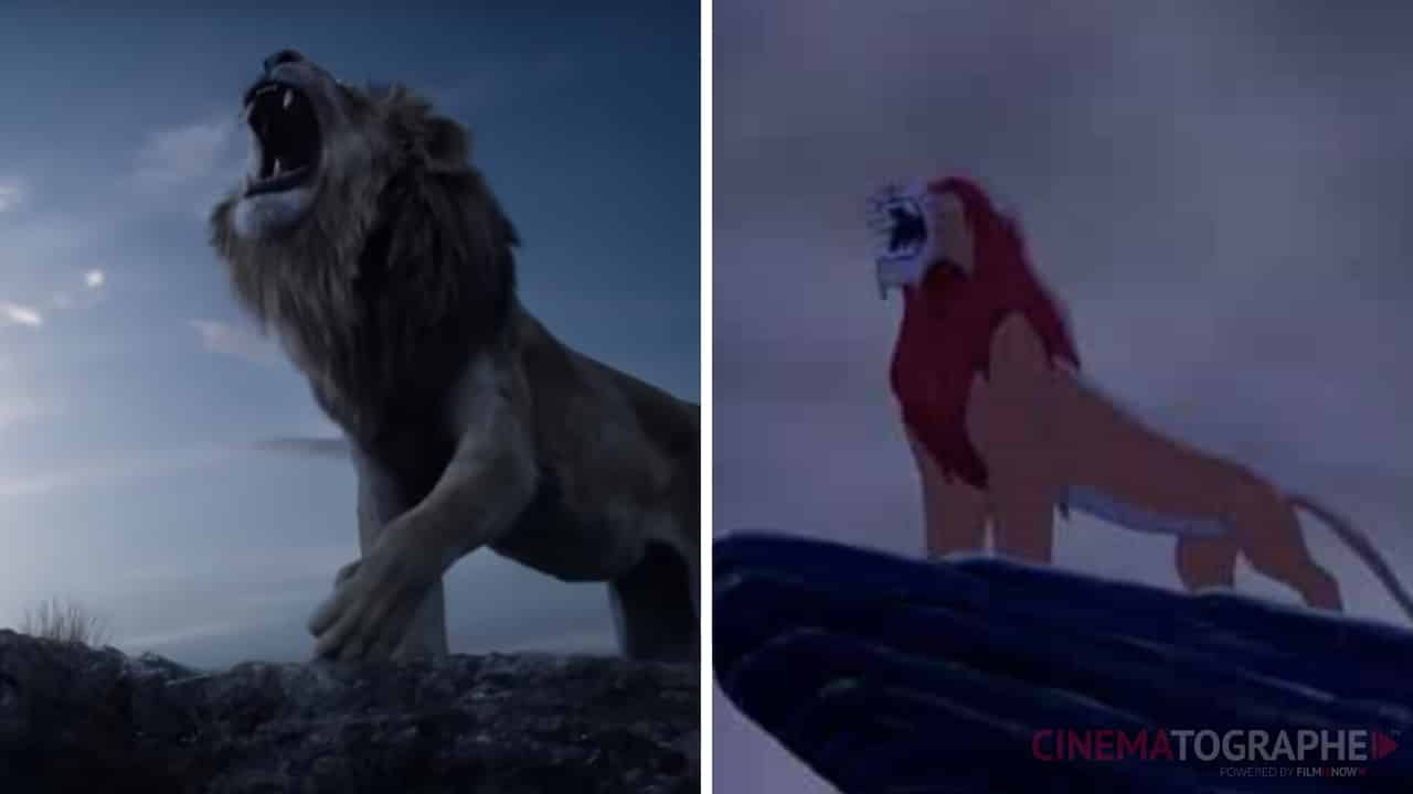 il re leone cinematographe.it