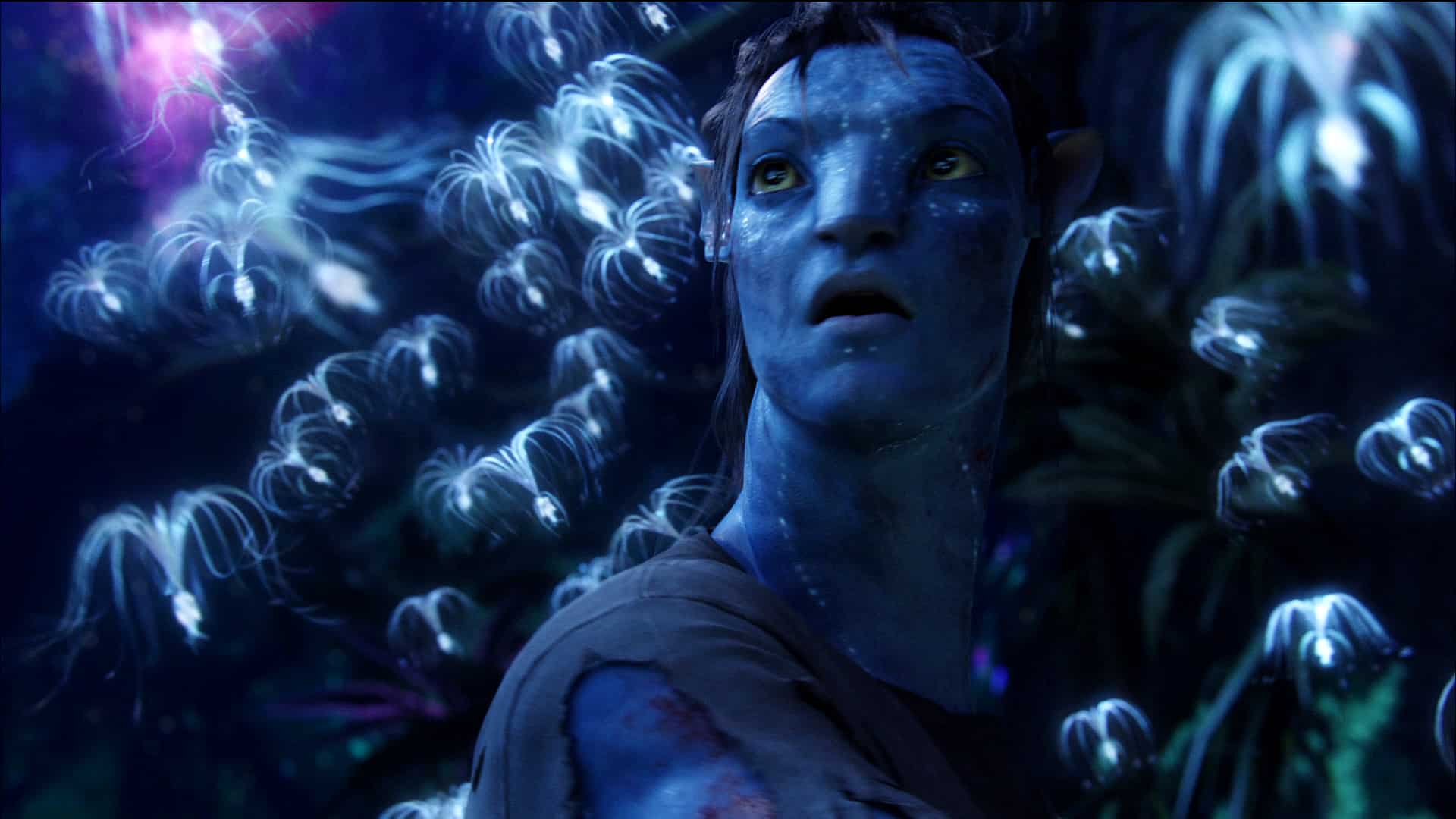 Avatar: produzione sospesa in Nuova Zelanda per i sequel di Cameron