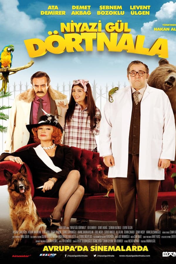 Guarda la locandina!