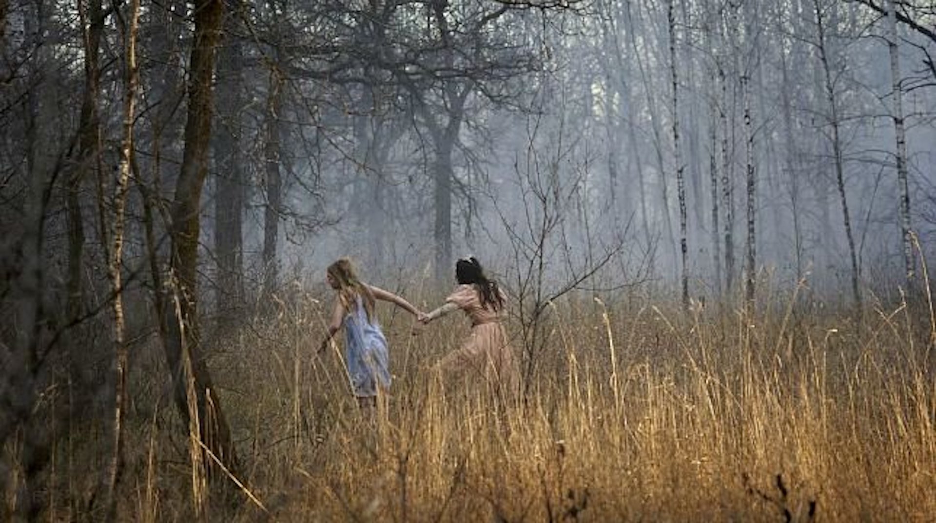 La casa delle bambole – Ghostland Cinematographe.it