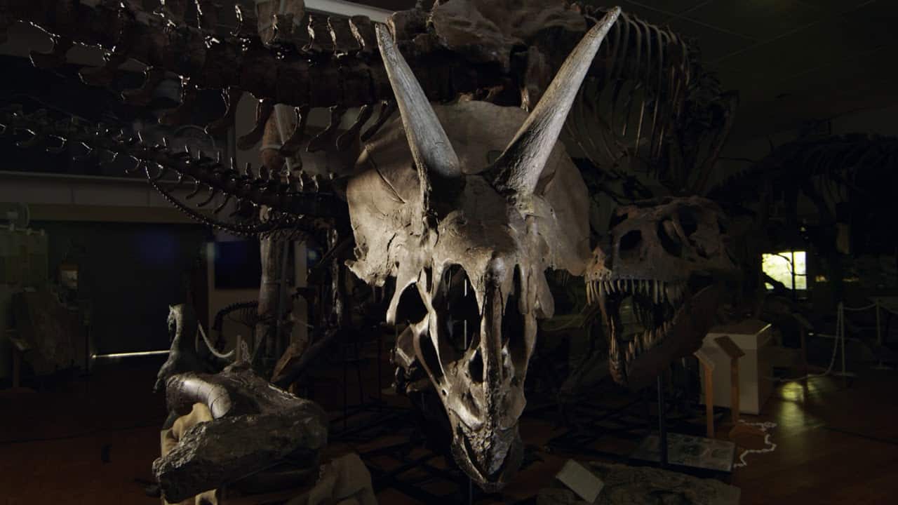 Dinosaurs: trailer del documentario di Francesco Invernizzi