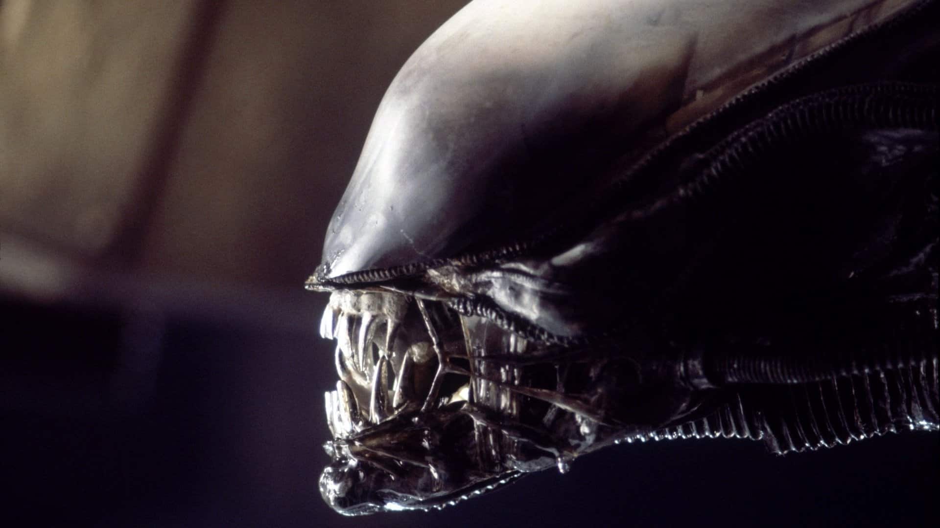 Alien – arriva il libro sul making of del film dallo scrittore Jonathan W. Rinzler