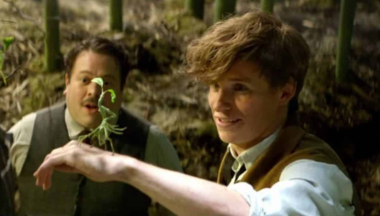 Eddie Redmayne in una scena di Animali Fantastici.