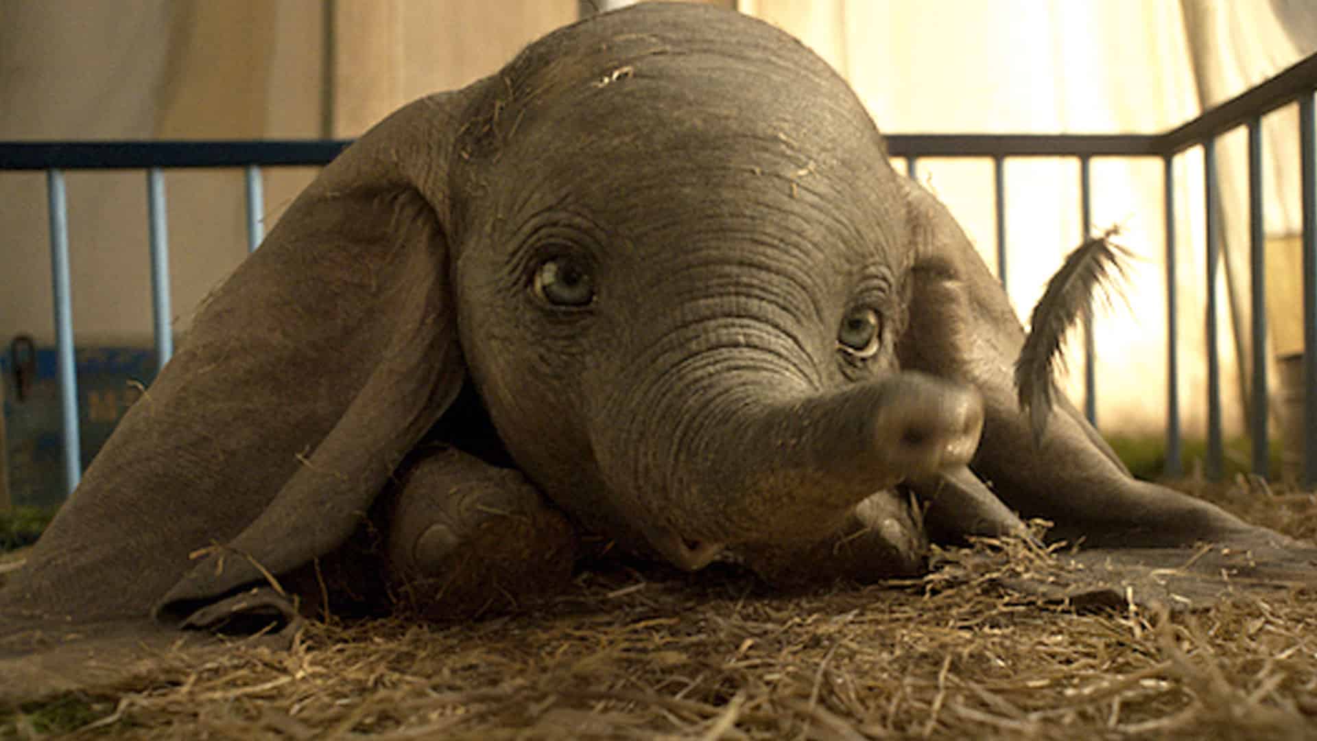 Dumbo: la storia vera dietro al film e la leggenda degli elefanti volanti