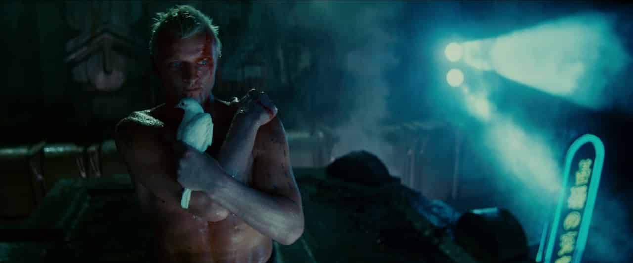 Rutger Hauer cinematographe.it